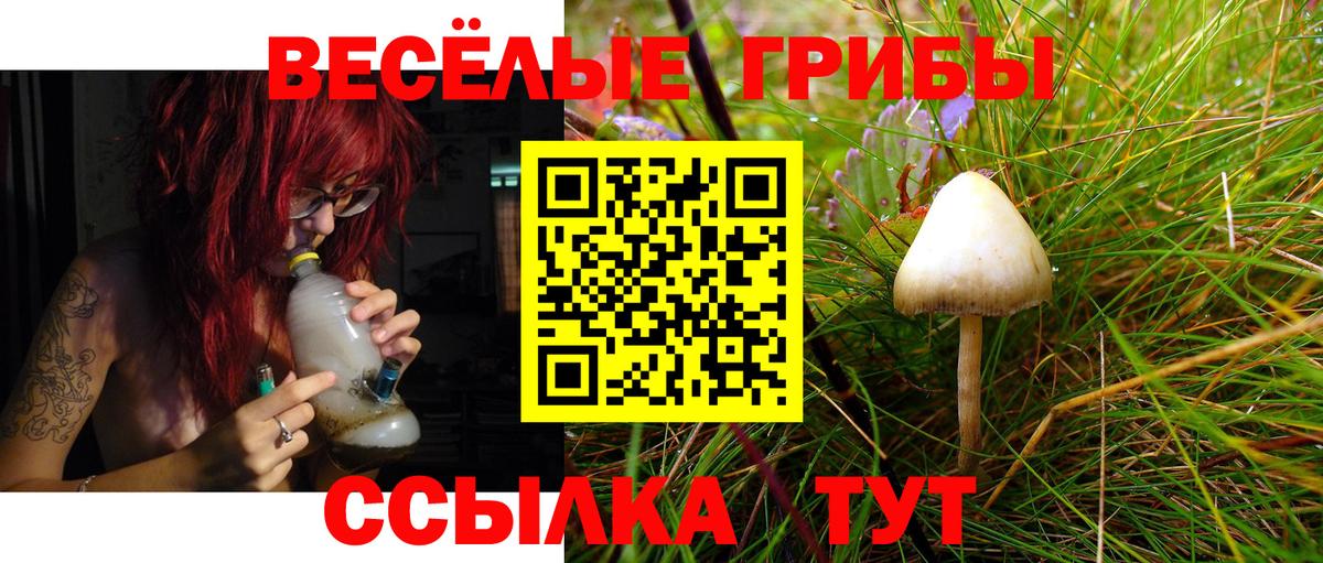 Галлюциногенные грибы мицелий  Галлюциногенные грибы Psilocybine cubensis  Кингисепп  Вход с VPN 